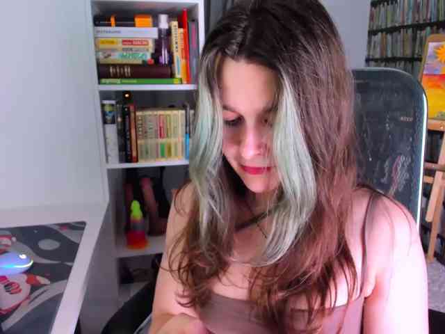 icefroq webcam