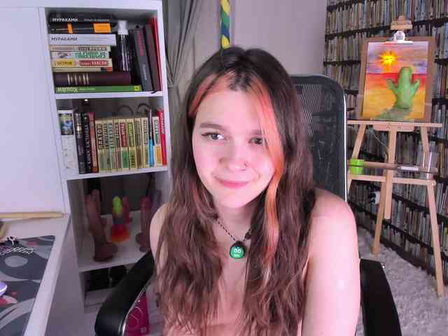 icefroq webcam