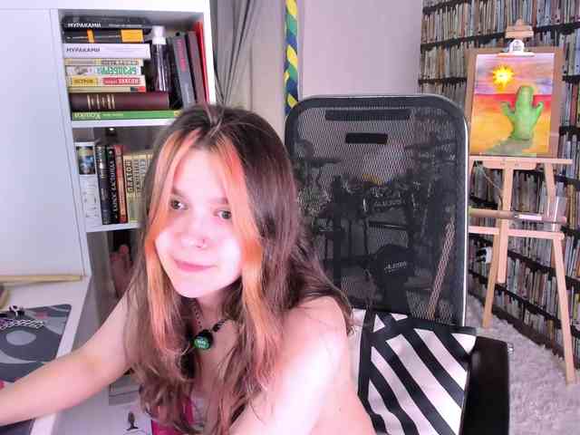 icefroq webcam