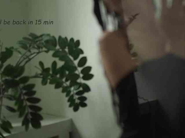 -Neva- webcam