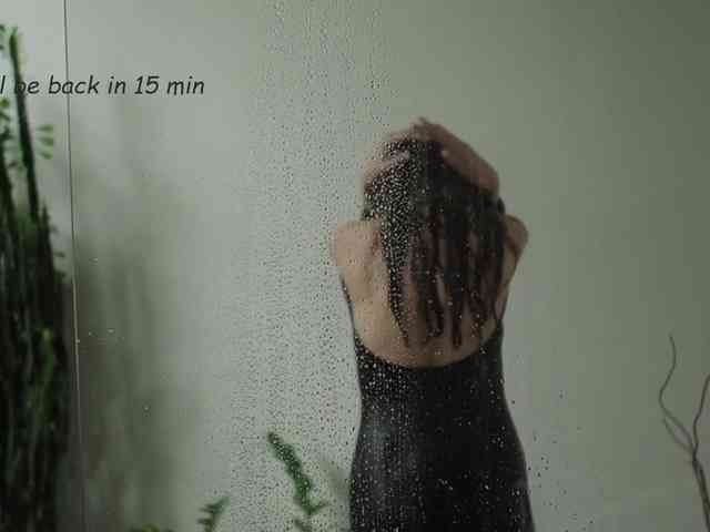 -Neva- webcam