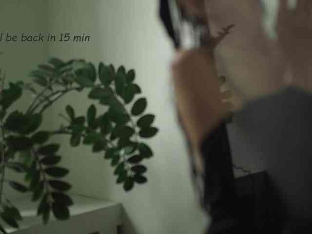 -Neva- webcam