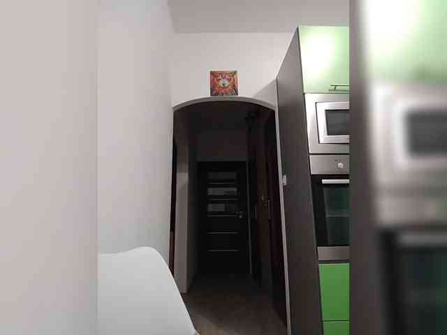 Alink26a