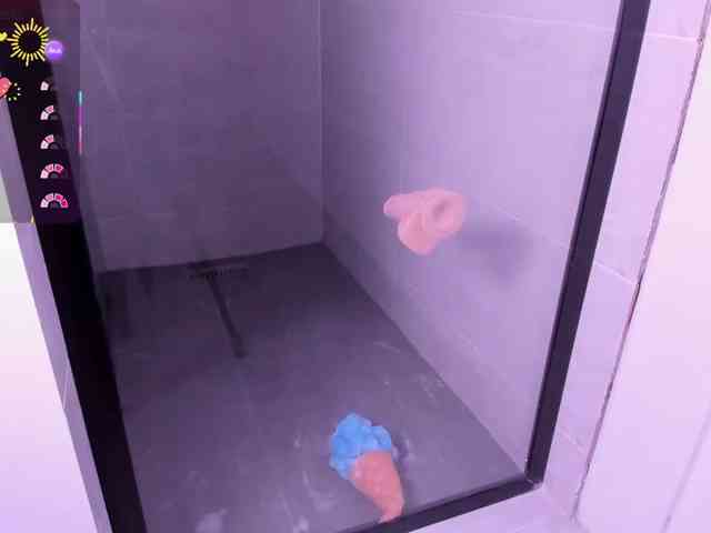 HellenParis webcam