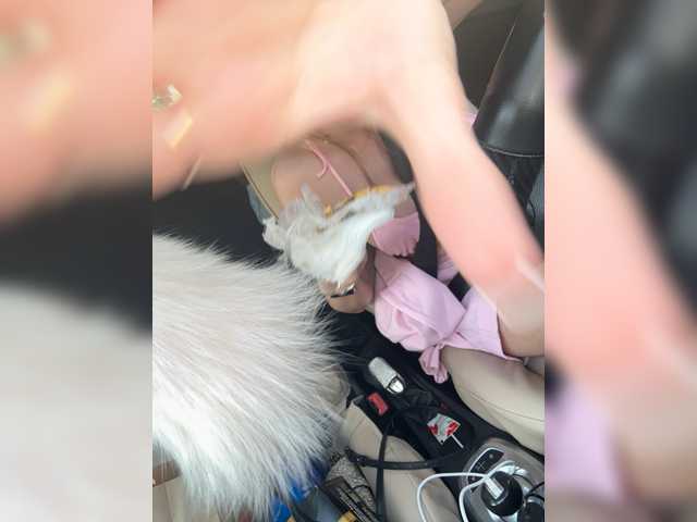GoldPussy69 live cam on BongaCams