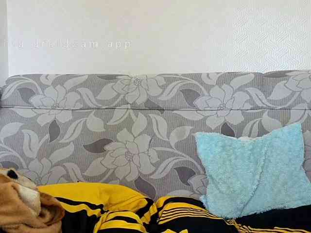 alnhpas webcam