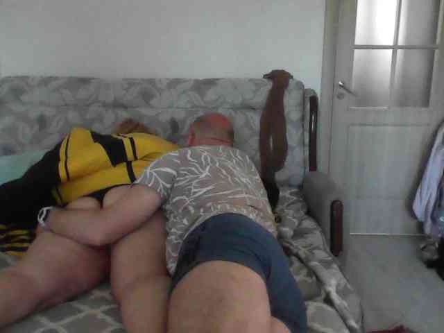 alnhpas webcam