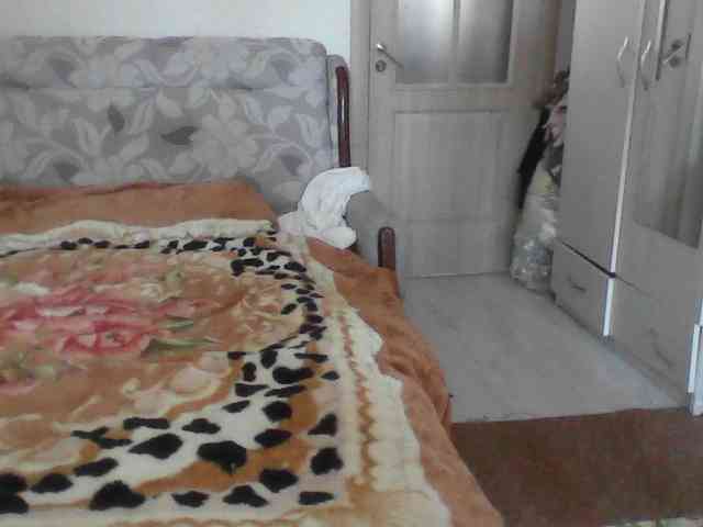 alnhpas webcam