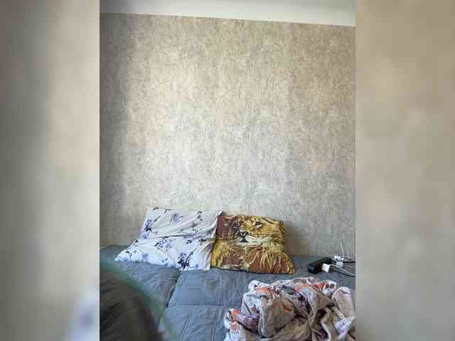 Flipflapsolo webcam