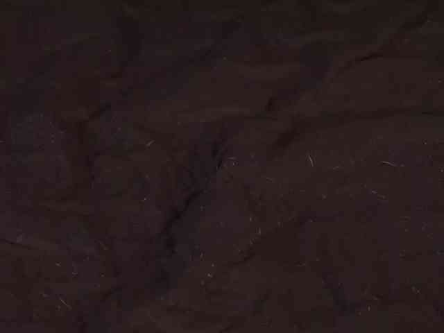 LillyThomps webcam