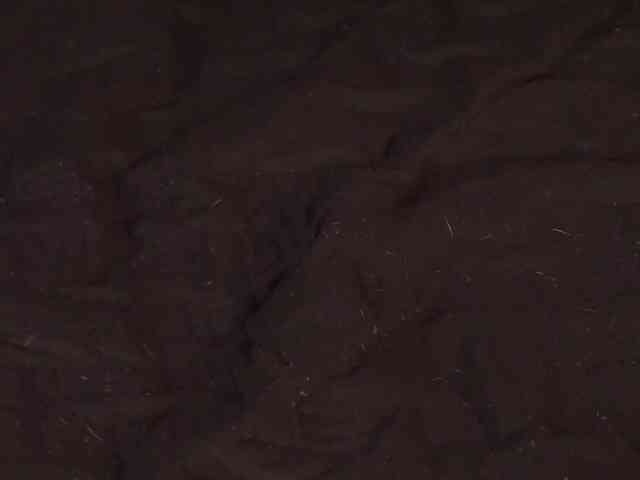 LillyThomps webcam