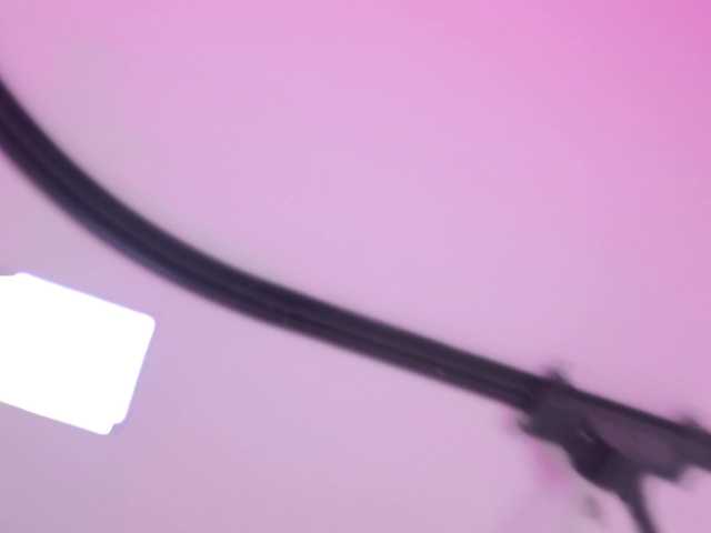 celeste-mrg live cam on BongaCams