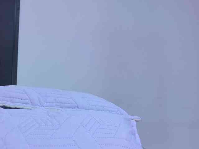 celeste-mrg webcam