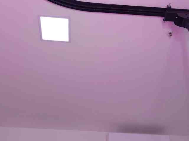 celeste-mrg webcam