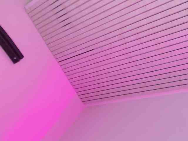 celeste-mrg webcam