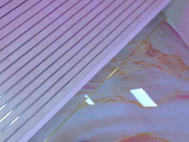 celeste-mrg webcam