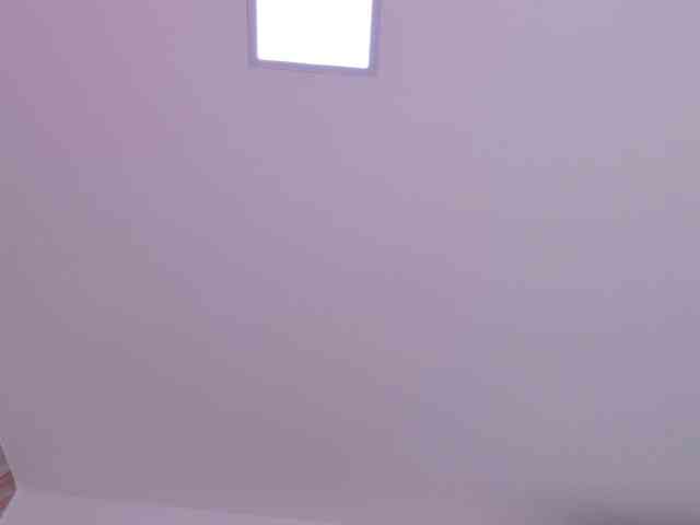 celeste-mrg webcam
