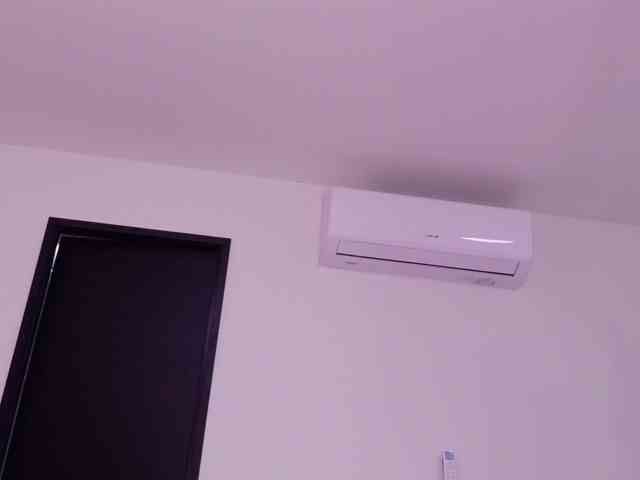 celeste-mrg webcam