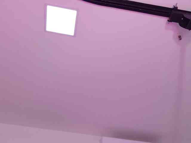 celeste-mrg webcam