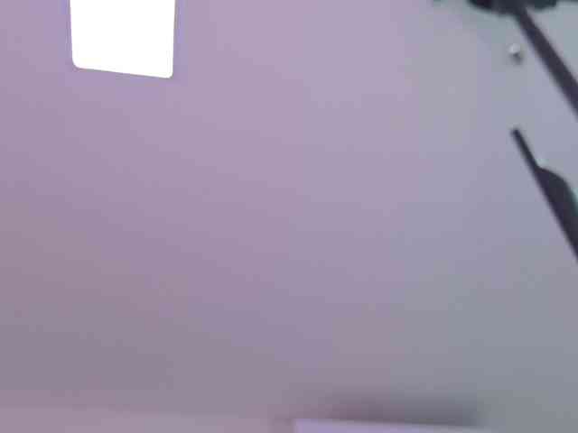 celeste-mrg webcam