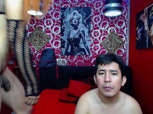 transgato