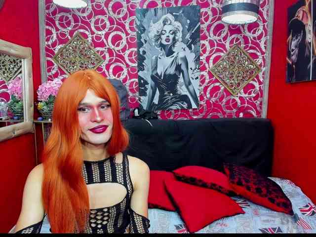 transgato Live Webcam on BongaCams