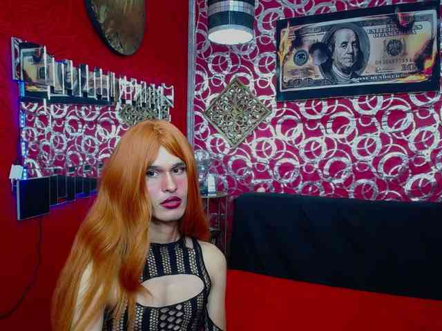 transgato Live Webcam on BongaCams