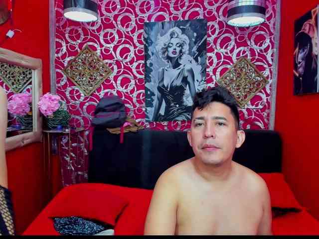 transgato