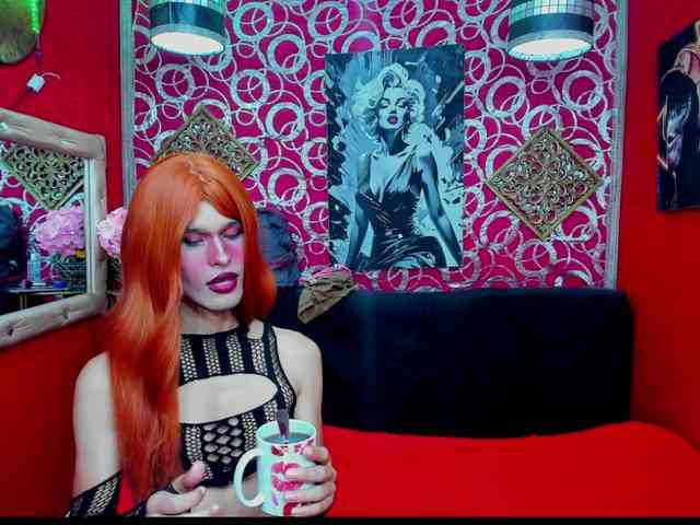 transgato Sex Cam Show