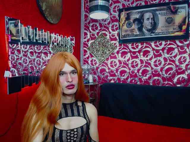 transgato Live Webcam on BongaCams