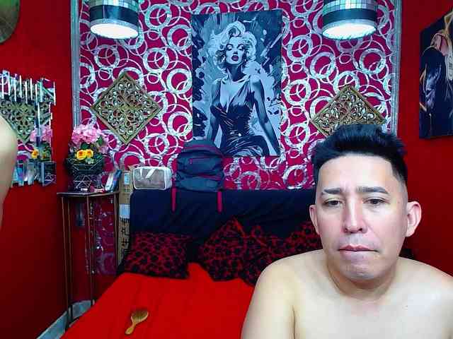 transgato