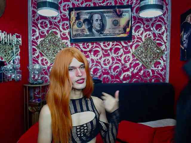 transgato Live Webcam on BongaCams