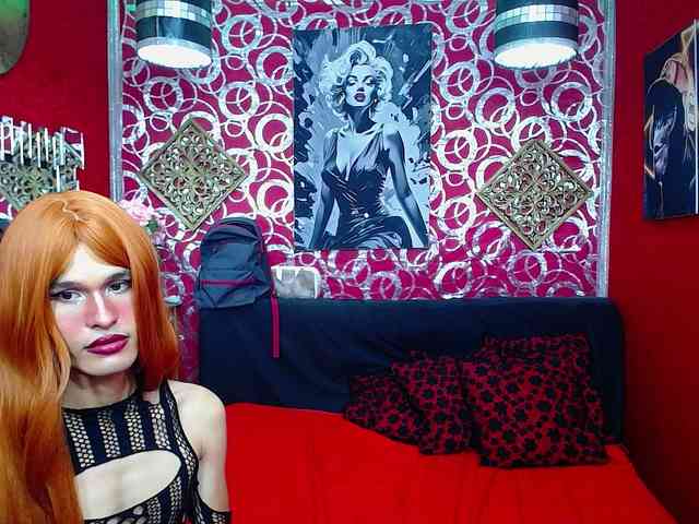 transgato Live Webcam on BongaCams