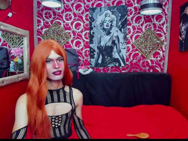 transgato Sex Cam Show