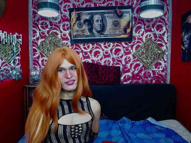 transgato Live Webcam on BongaCams