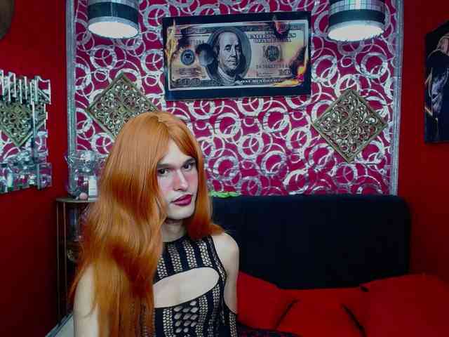 transgato Live Webcam on BongaCams