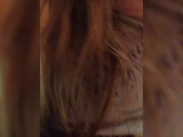 EngTeacher webcam