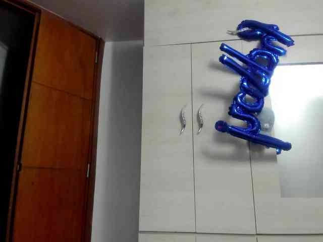 Ameli-12 webcam