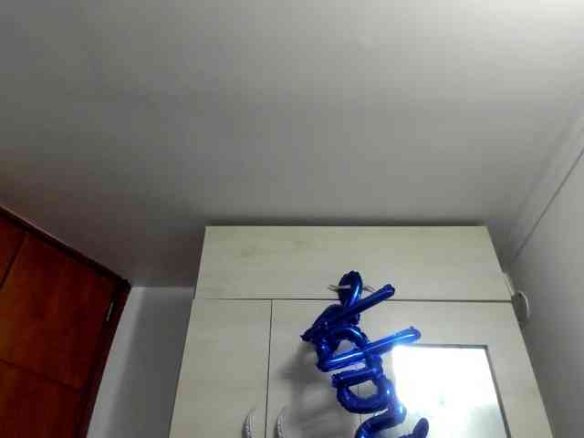 Ameli-12 webcam