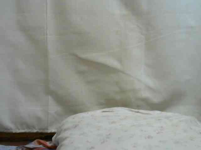 Harmalie webcam