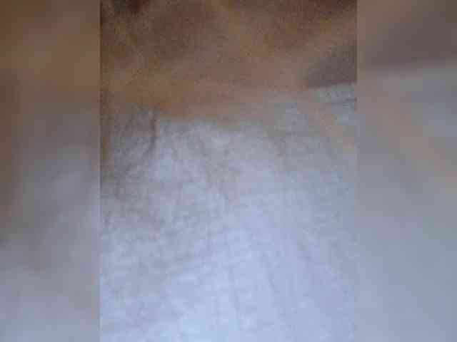 parasite02 webcam