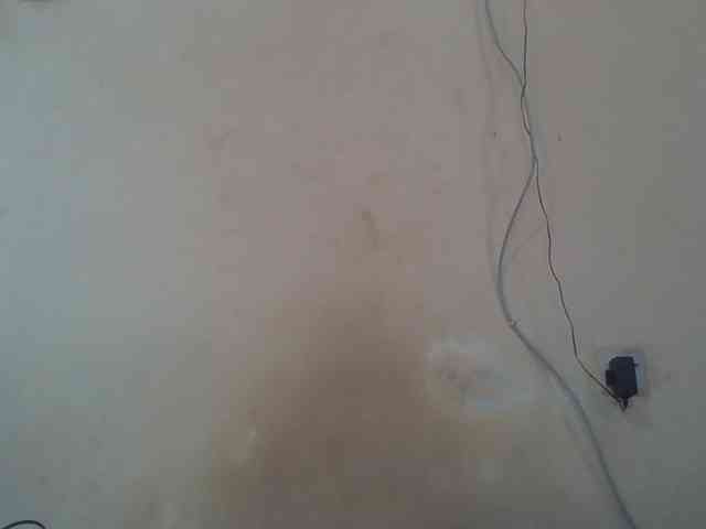 Sexydove webcam