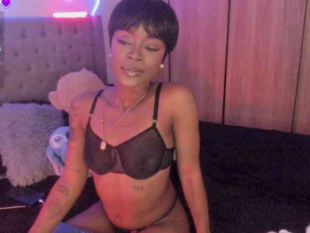 Modelo: Miss-west