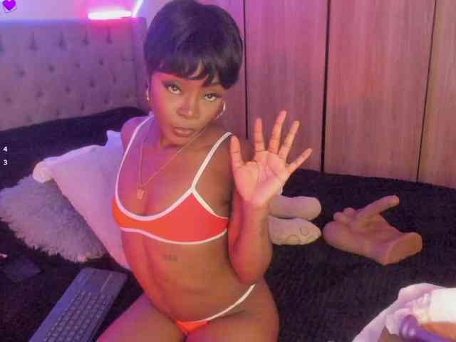 Modelo: Miss-west