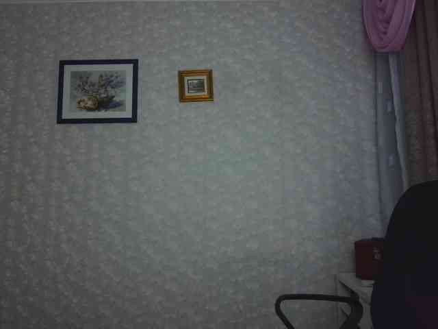 Nata85085 webcam