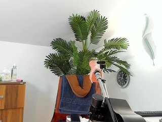 karlahartley Porn Show