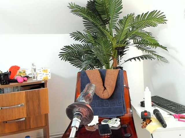 karlahartley live webcam show