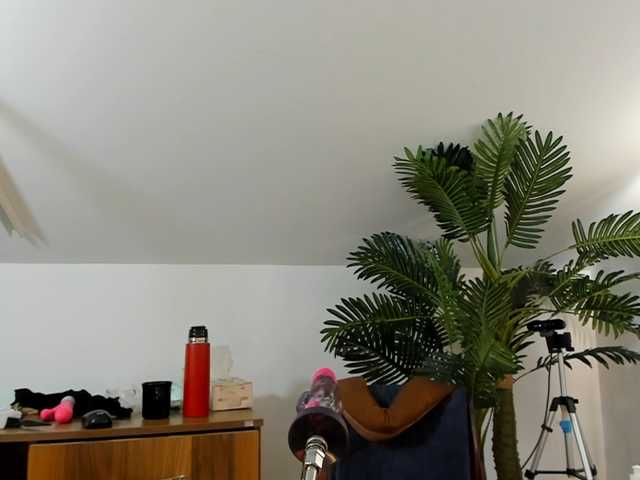 karlahartley live cam on BongaCams