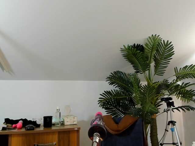karlahartley live webcam show