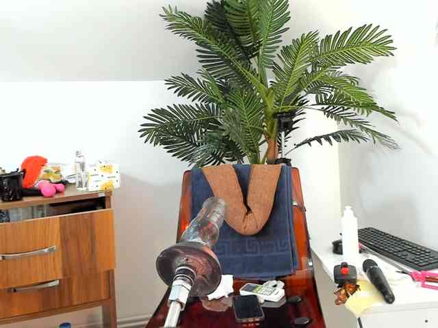 karlahartley webcam